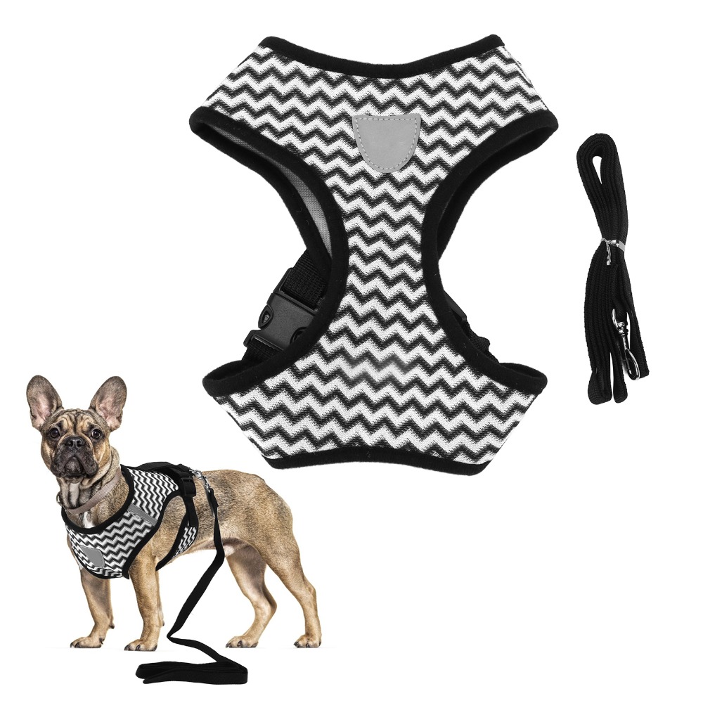 Fabric Weight Set - Conjunto de Arnés para Mascotas de